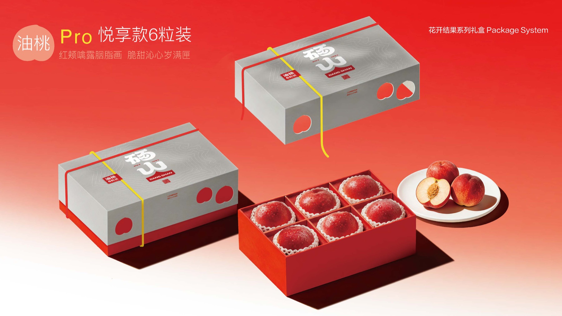 砀山悦享款包装