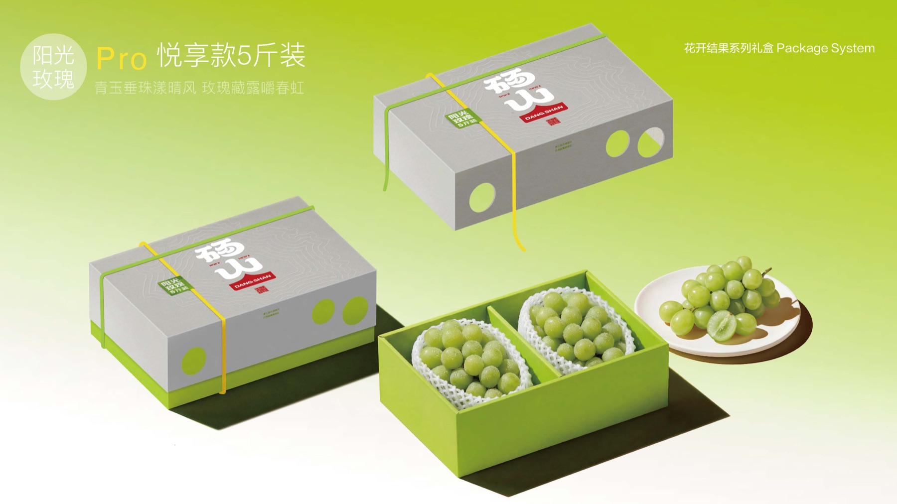 砀山绿色产品包装
